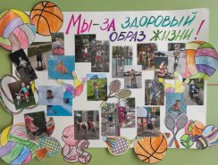 img (14)